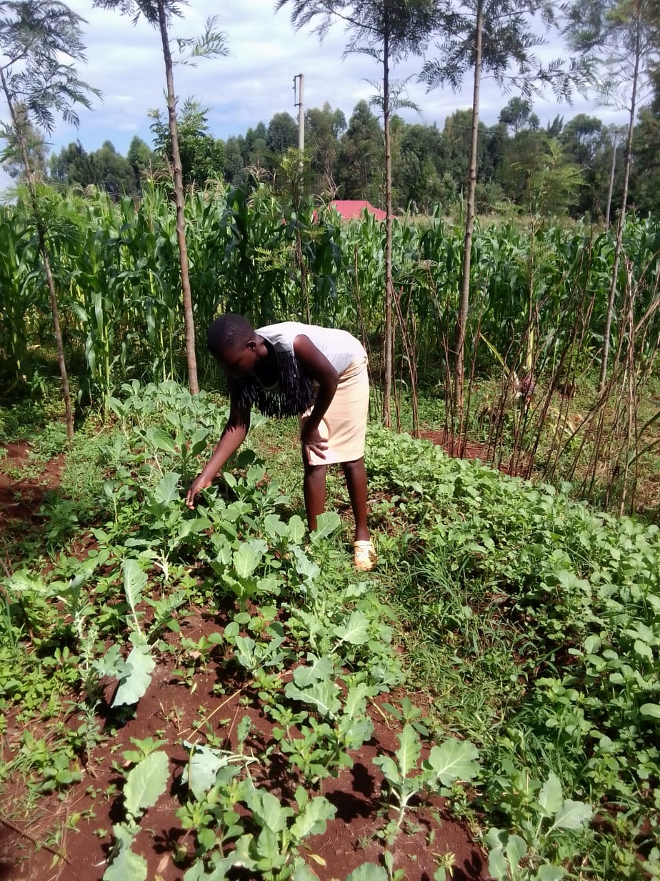 Jacquiline Atieno Rading